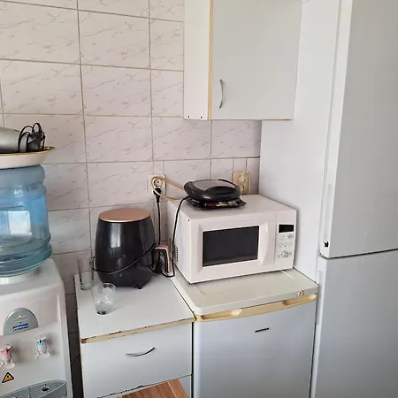 Boutique Grigorescu Apartment Bucharest